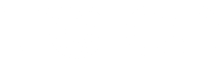 VOICE Generic Logo WHITE